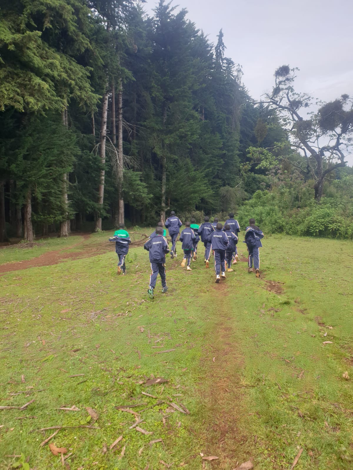Training & Development